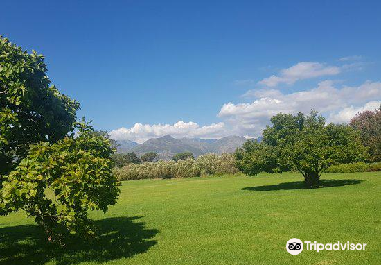 anthonij rupert wyne estate & terra del capo tasting room 民风