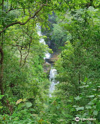 ayurmitra ayurvedic spa