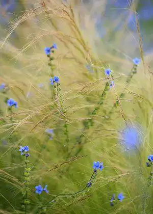 馬爾索朗住宿飯店