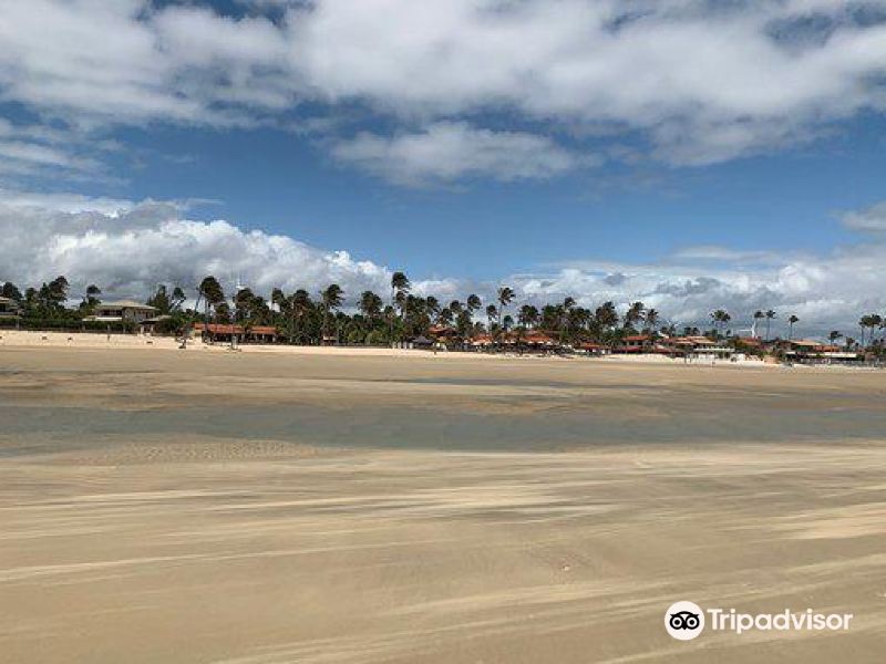 预订 点评 推荐 酒店酒店 萤火虫别墅旅馆(pousada vila vagalume)