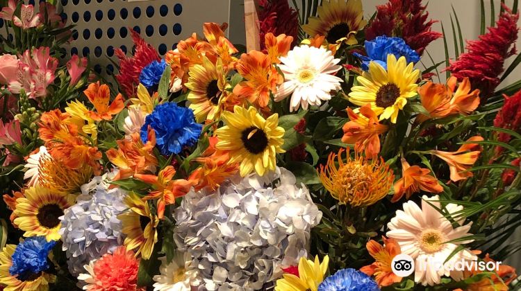 东京zepp Tokyo游玩攻略 Zepp Tokyo门票多少钱 价格表 团购票价预定优惠 景点地址在哪里 图片介绍 参观预约 旅游游览顺序攻略及注意事项 营业时间 携程攻略 东京zepp Tokyo游玩攻略 Zepp Tokyo门票多少钱 价格表 团购票价预定优惠 景点地址在哪里 图片介绍 参观预约 旅游游览顺序攻略及注意事项 营业时间 携程攻略