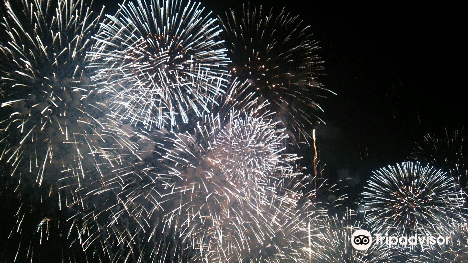 土浦市土浦全国花火竞技大会攻略 土浦全国花火竞技大会门票价格多少钱 团购票价预定优惠 景点地址图片 携程攻略
