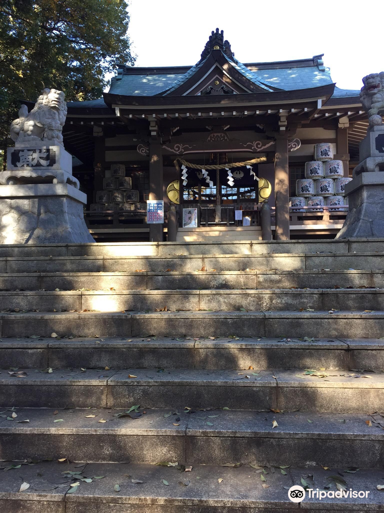 大和市dome攻略,大和市dome门票/游玩攻略/地址/图片/门票价格【携程