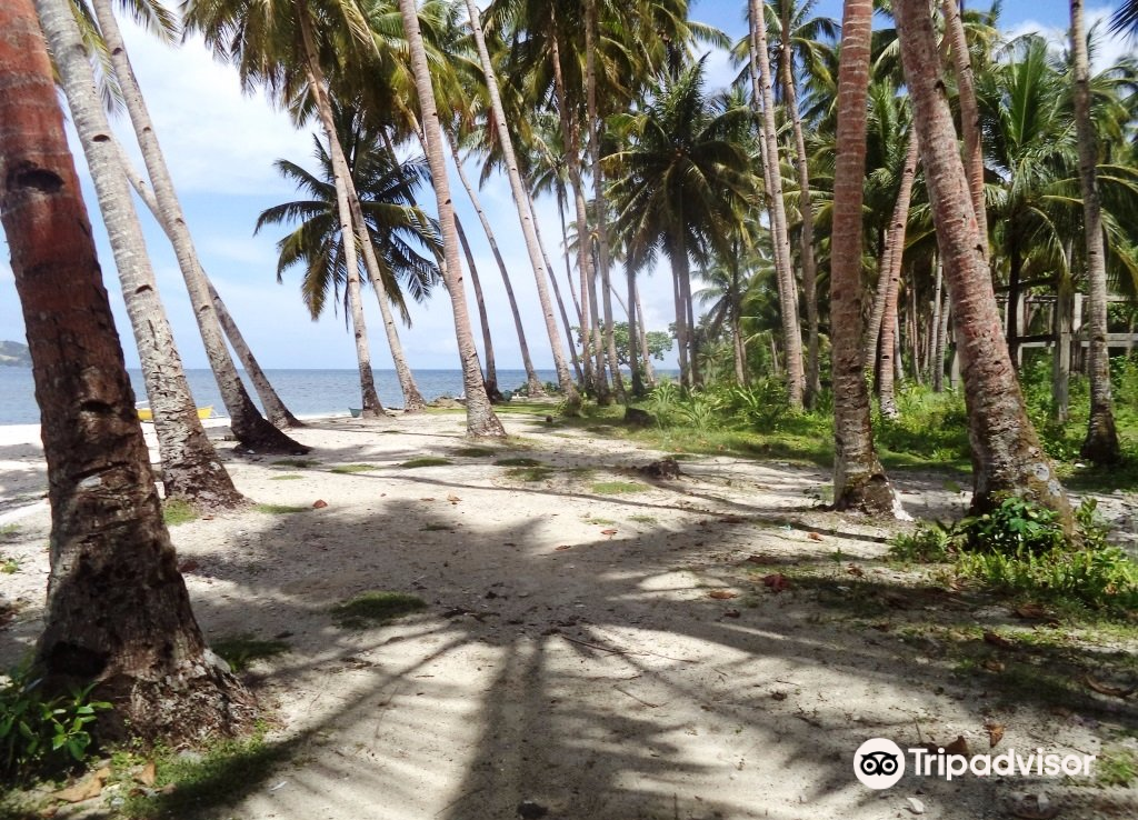 苏里高battle of surigao strait museum攻略-battle of surigao