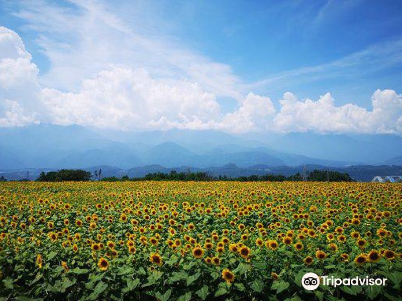 明野地区 山梨县北杜市 408-0201 查看更多详情 酒店 酒店 韭崎之庭