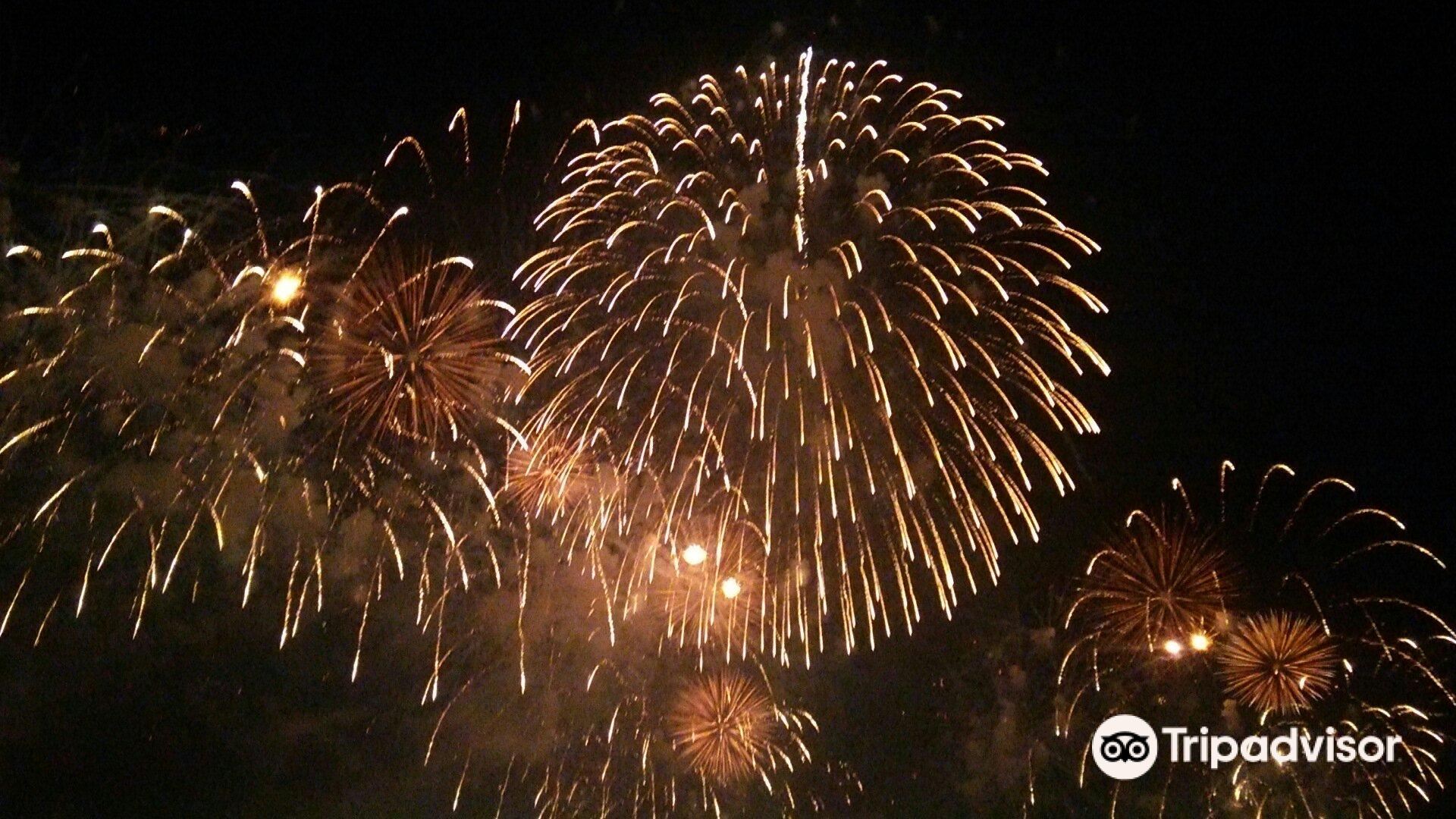 土浦市土浦全国花火竞技大会攻略 土浦全国花火竞技大会门票价格多少钱 团购票价预定优惠 景点地址图片 携程攻略