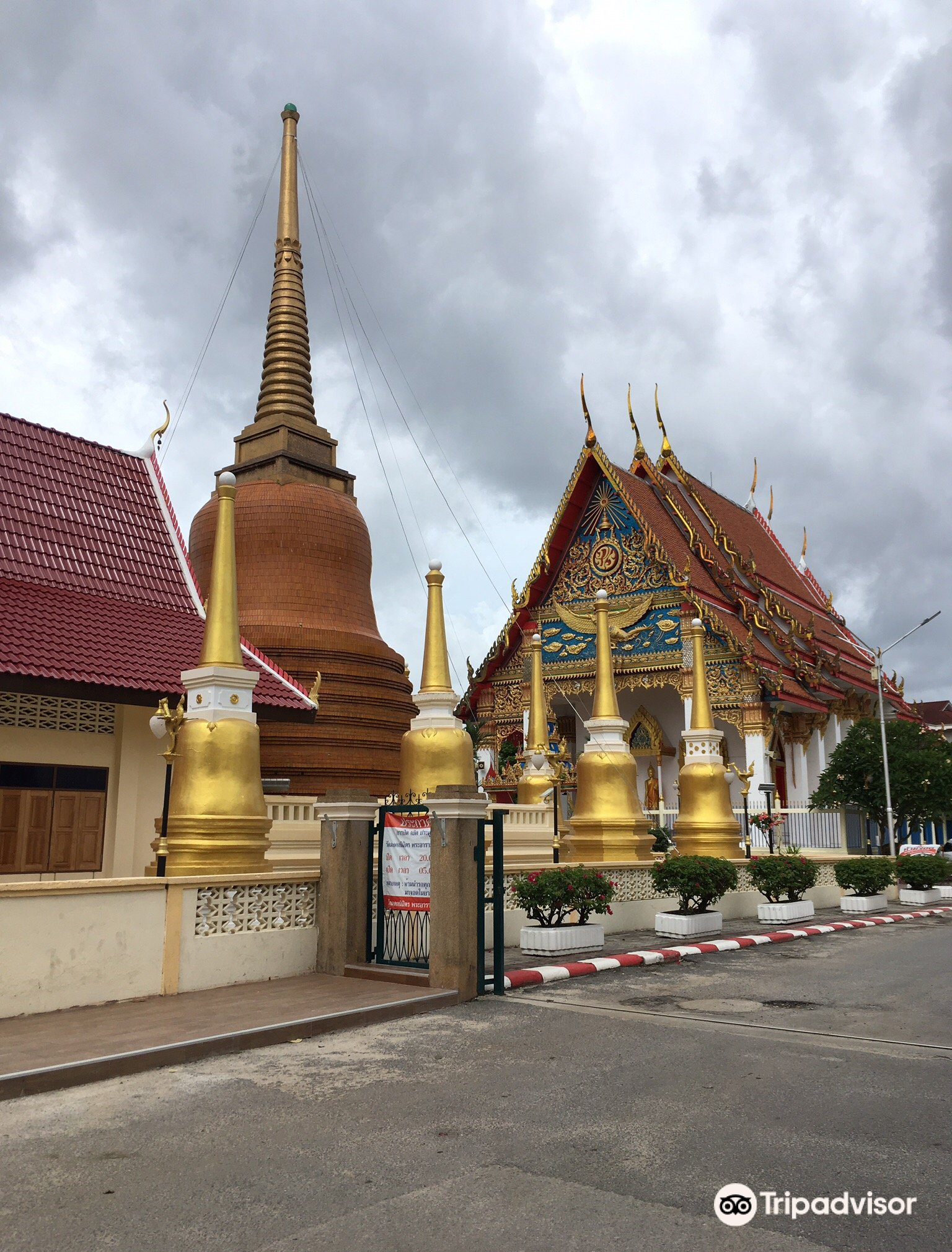 普吉岛猴山攻略-猴山门票价格多少钱-团购票价预定优惠-景点地址图片