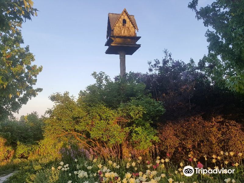 多伦多蝴蝶园攻略-蝴蝶园门票价格多少钱-团购票价预定优惠-景点地址