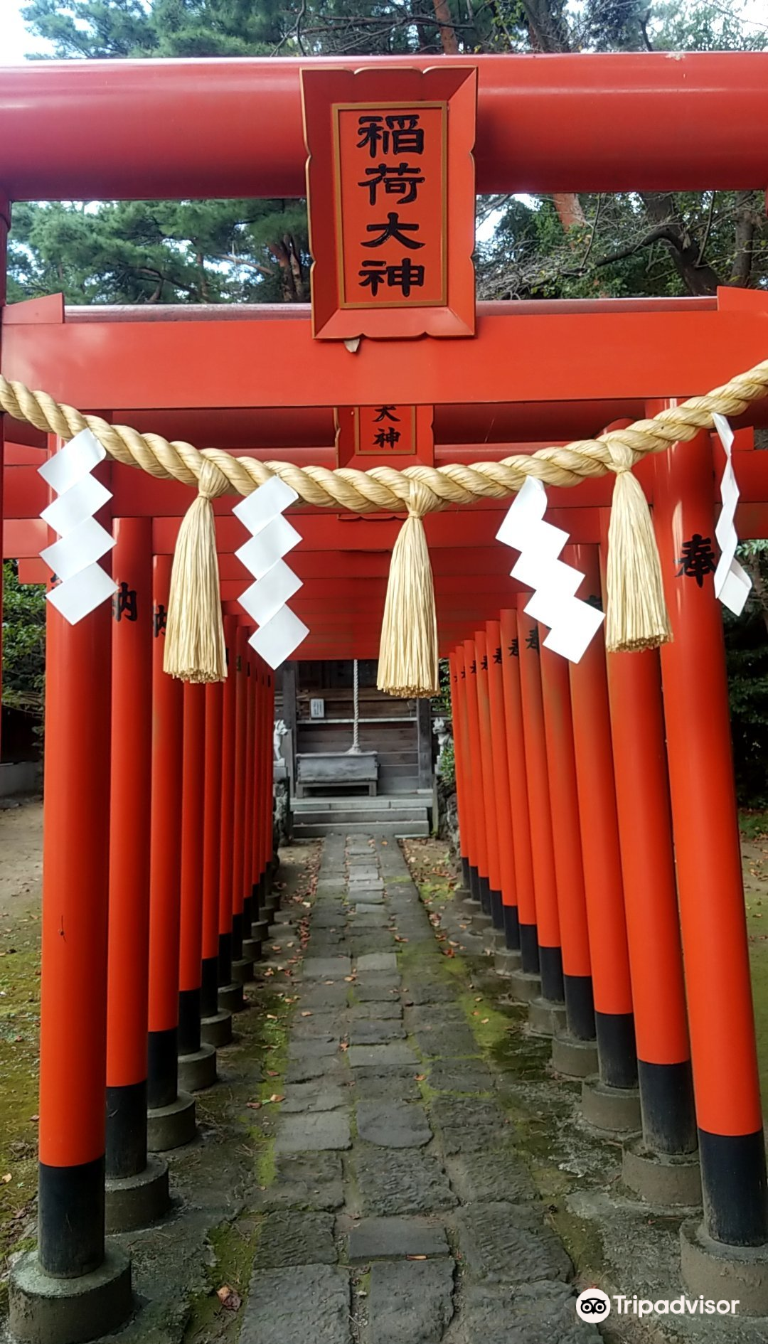 高崎市横山画廊攻略-横山画廊门票价格多少钱-团购票价预定优惠-景点