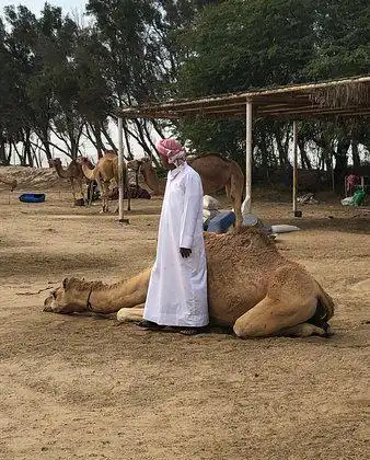 Hoteles en Al-Budaiya