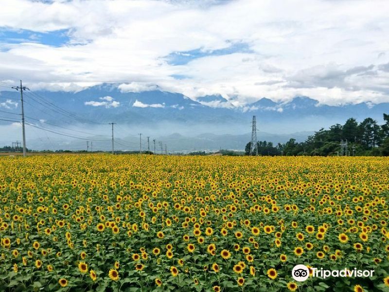 明野地区 山梨县北杜市 408-0201 查看更多详情 酒店 酒店 韭崎之庭