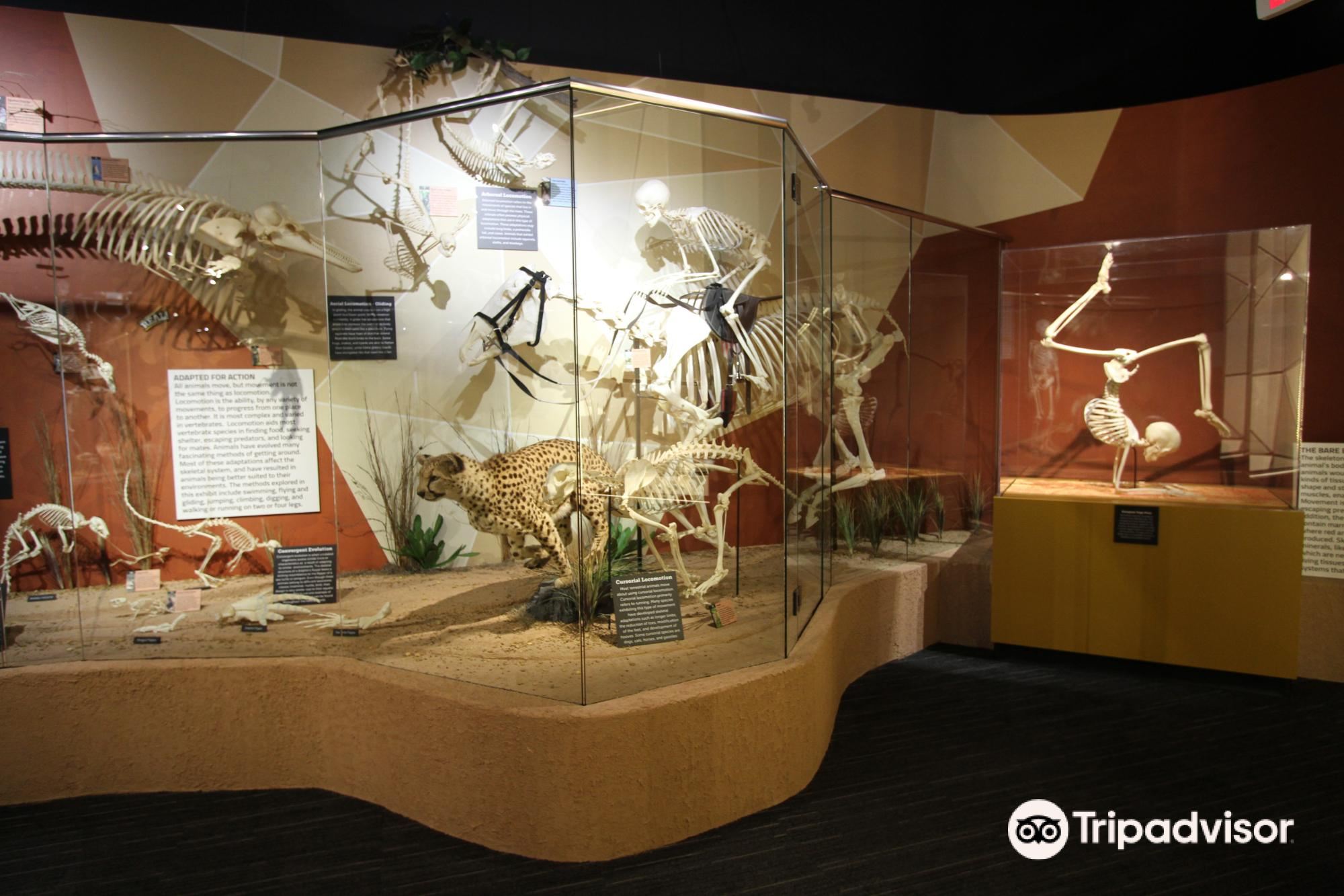 奥兰多海洋生物水族馆