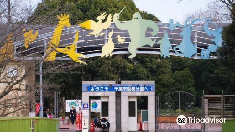 千叶千叶市动物公园攻略 千叶市动物公园门票价格多少钱 团购票价预定优惠 景点地址图片 携程攻略