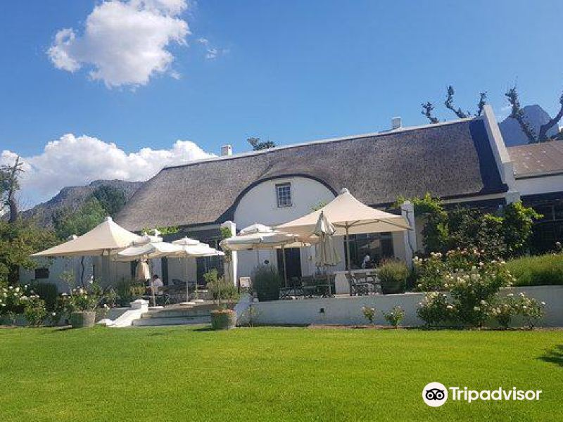 anthonijrupertwyneestateterradelcapotastingroom