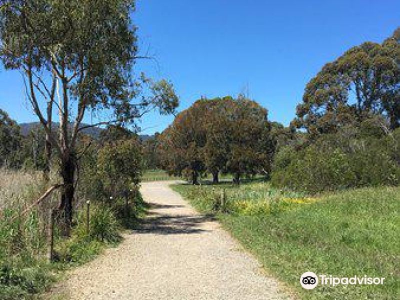 liverpoolrdretardingbasin