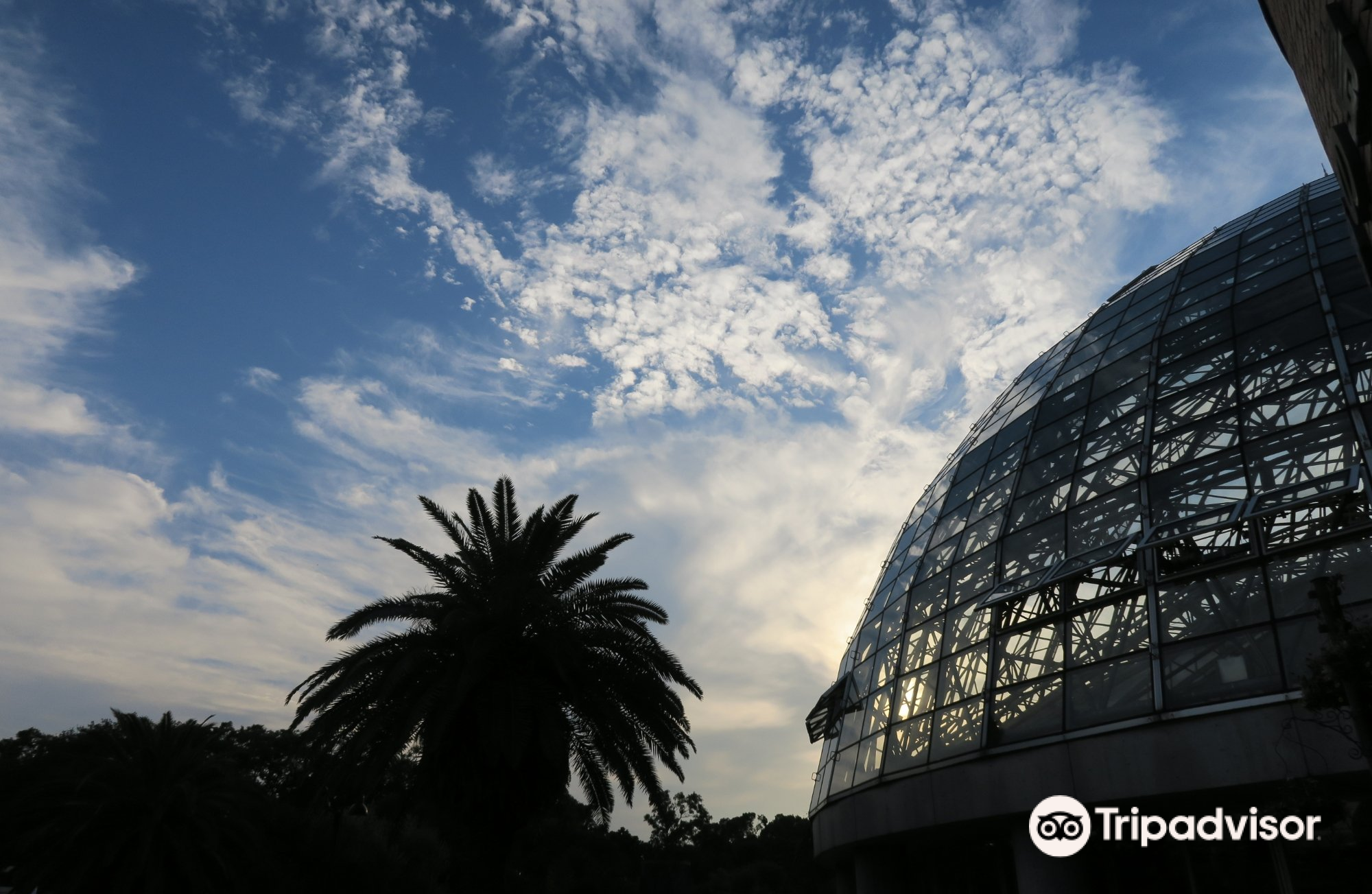 梦之岛热带植物室