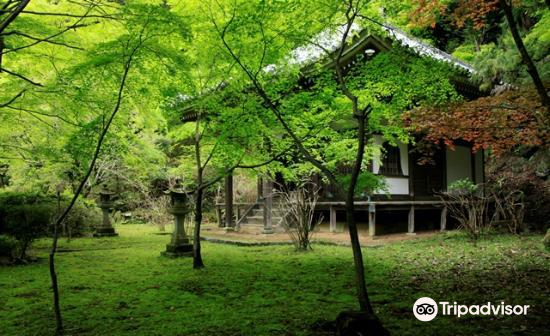 京都大原野神社游玩攻略 大原野 神社门票多少钱 价格表 团购票价预定优惠 景点地址在哪里 图片介绍 参观预约 旅游游览顺序攻略及注意事项 营业时间 携程攻略