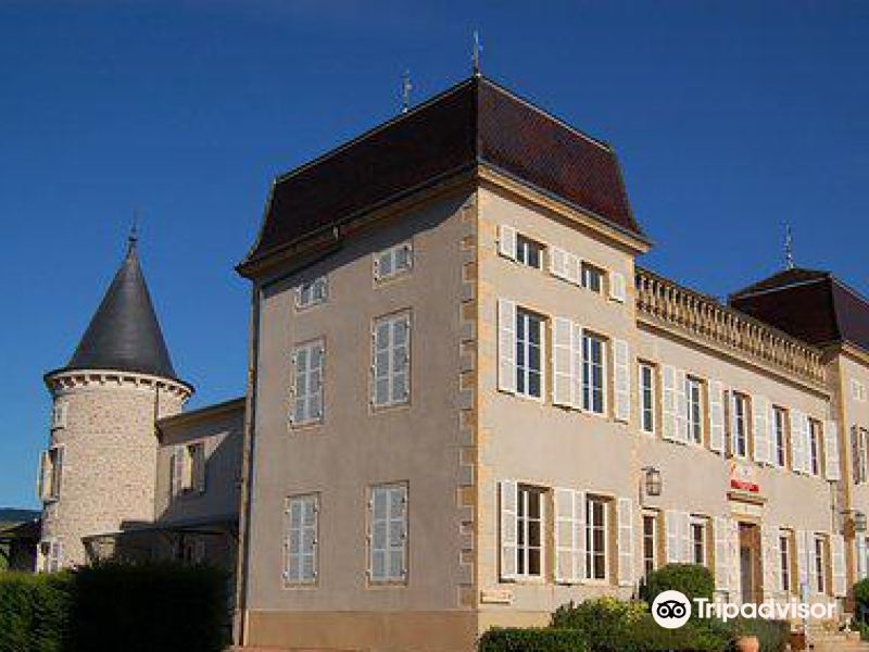 julienas chaintre vignerons associes