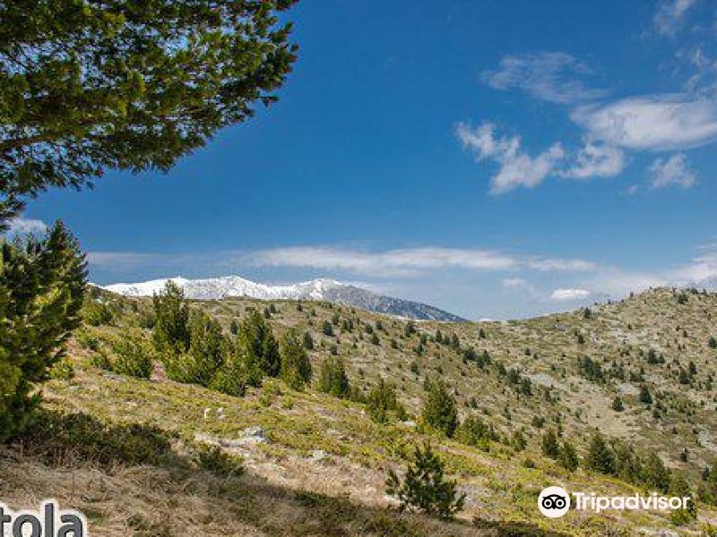 pelister mount pelister, bitola, republic of north macedonia