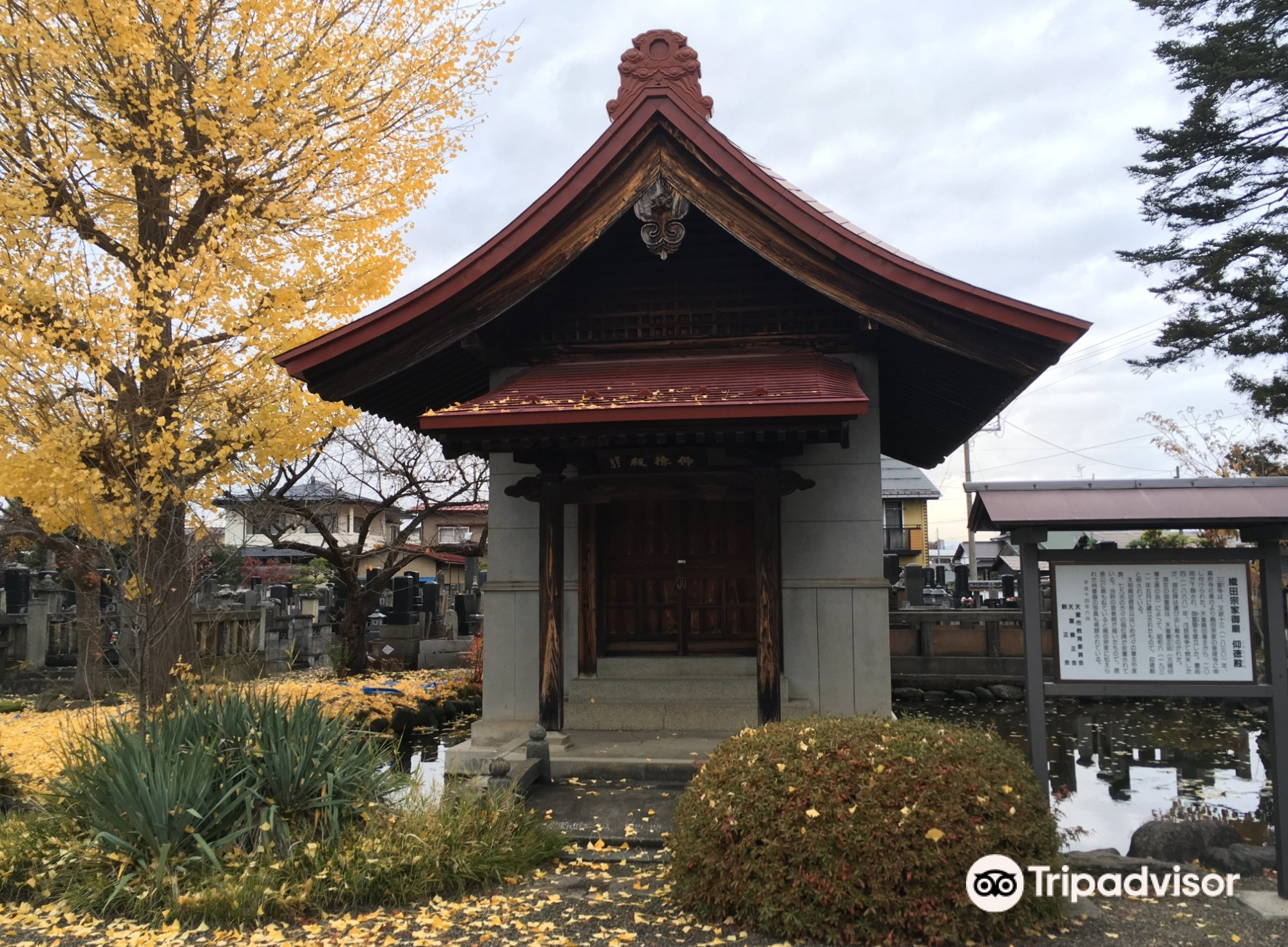 天童市広重美術館攻略 広重美術館门票价格多少钱 团购票价预定优惠 景点地址图片 携程攻略