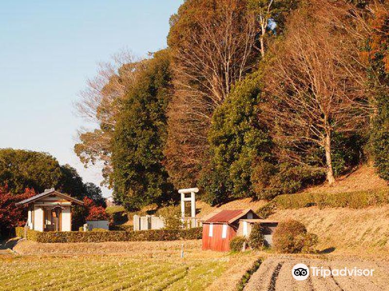 樱井市hashihaka攻略-hashihaka门票价格多少钱-团购票价预定优惠