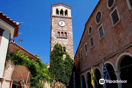 petrified forest of lesbos