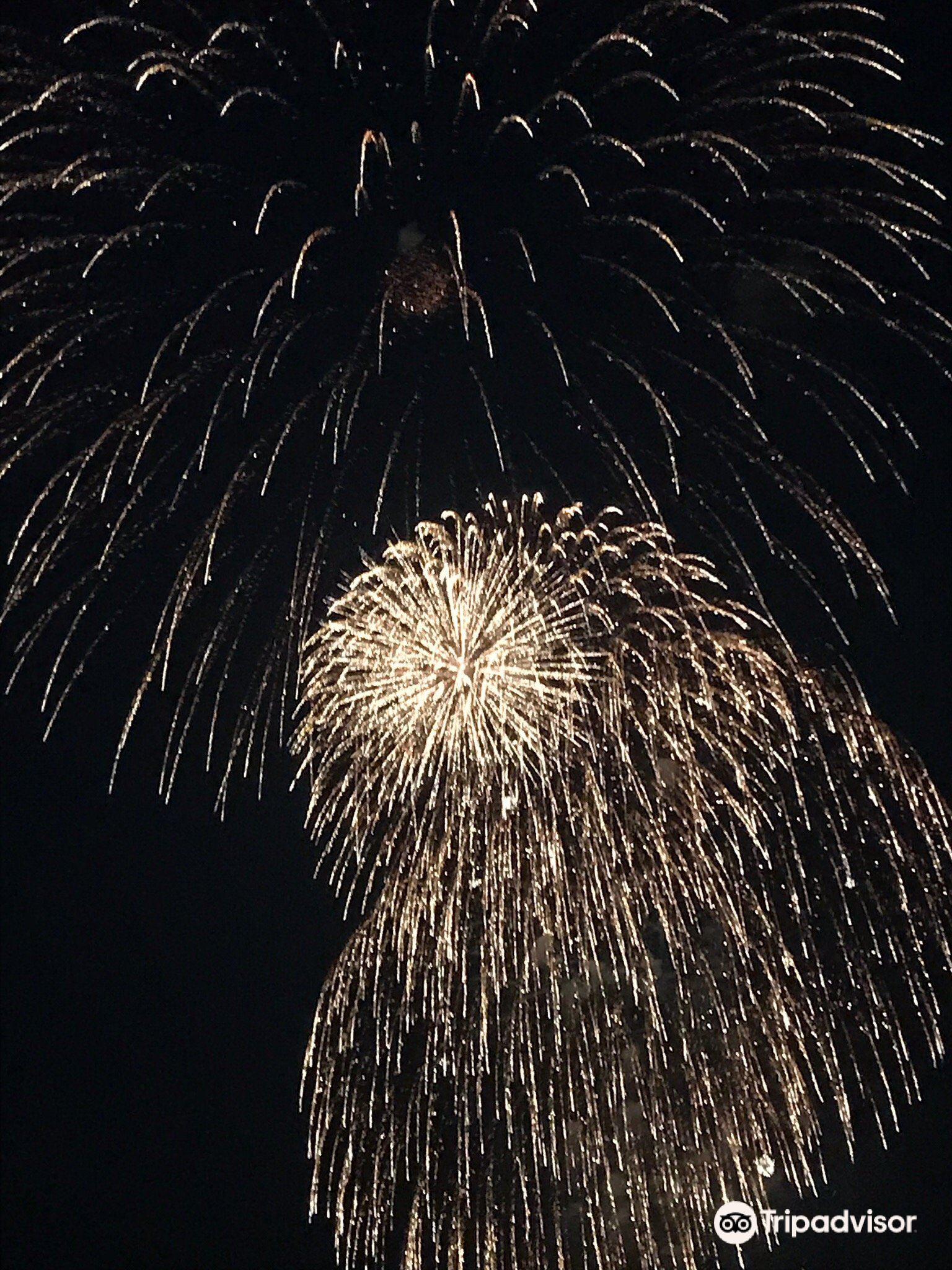 桑名市桑名水乡花火大会攻略 桑名水乡花火大会门票价格多少钱 团购票价预定优惠 景点地址图片 携程攻略