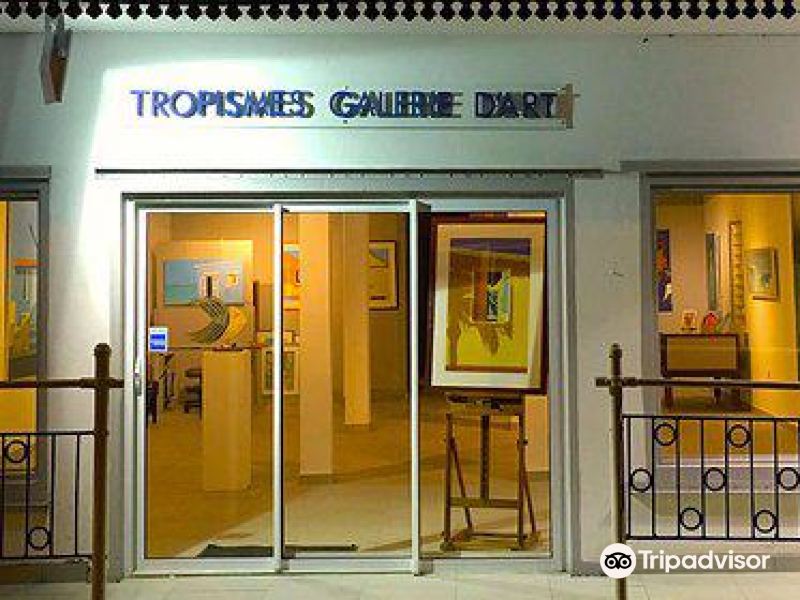 格朗卡斯tropismes gallery攻略-tropismes gallery门票价格多少钱