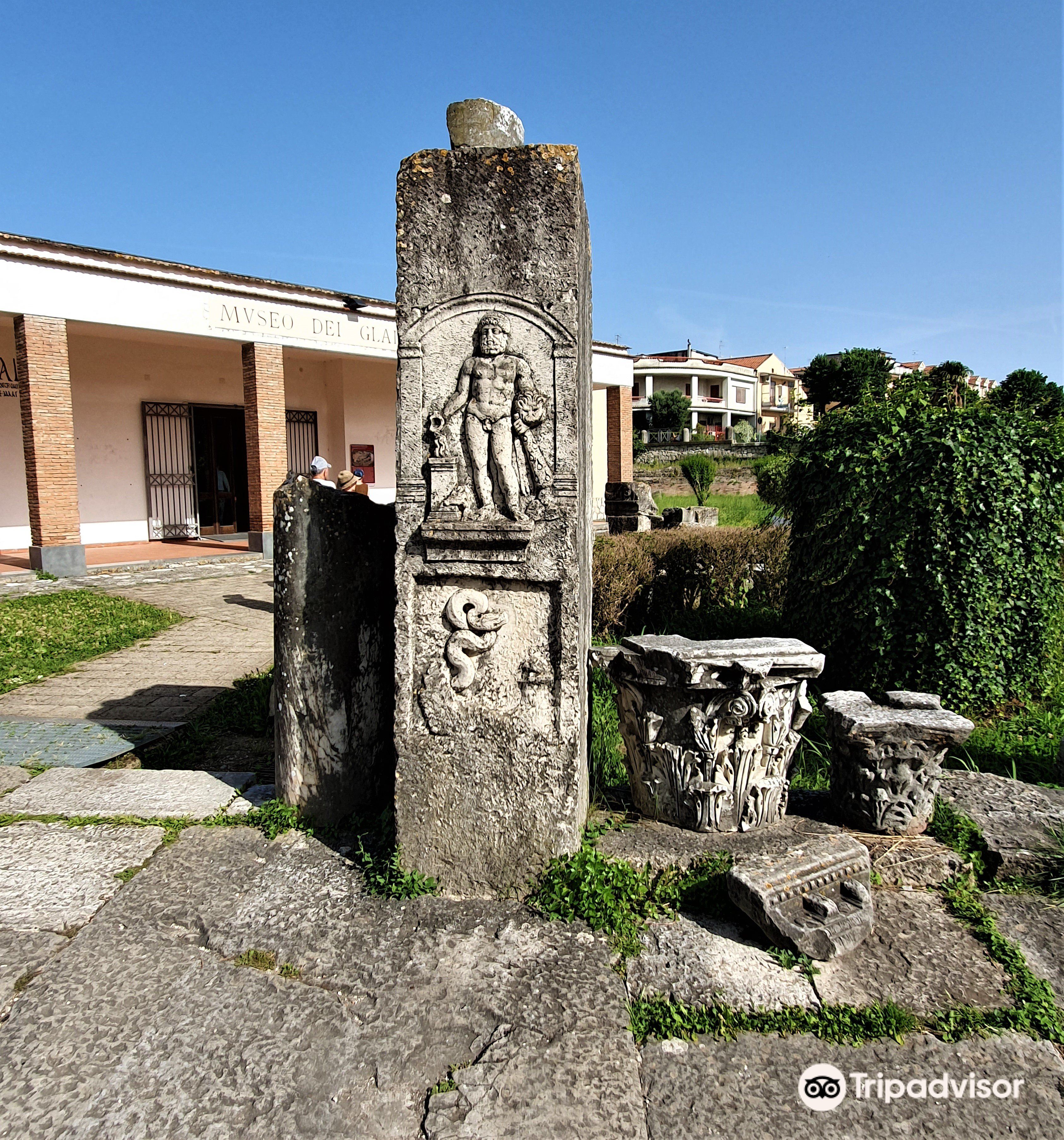 那不勒斯国立自然科学博物馆攻略,那不勒斯国立自然科学博物馆门票