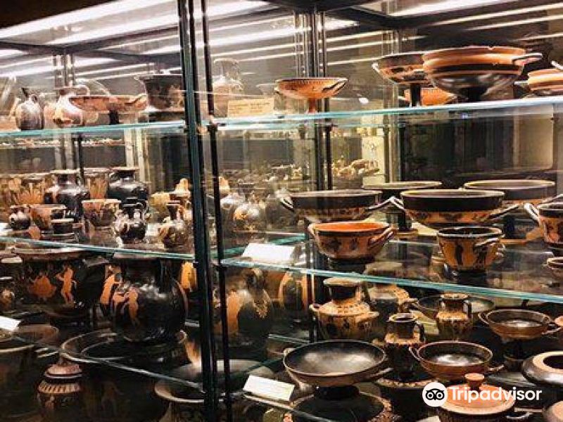 of mediterranean and near eastern antiquitie攻略-museum of