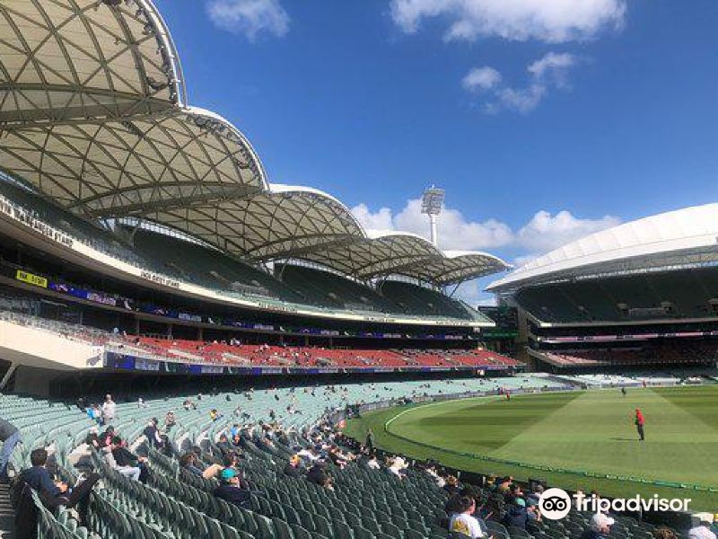 1/ 38 阿德莱德椭圆形体育场 adelaide oval "精彩纷呈体育赛事举办