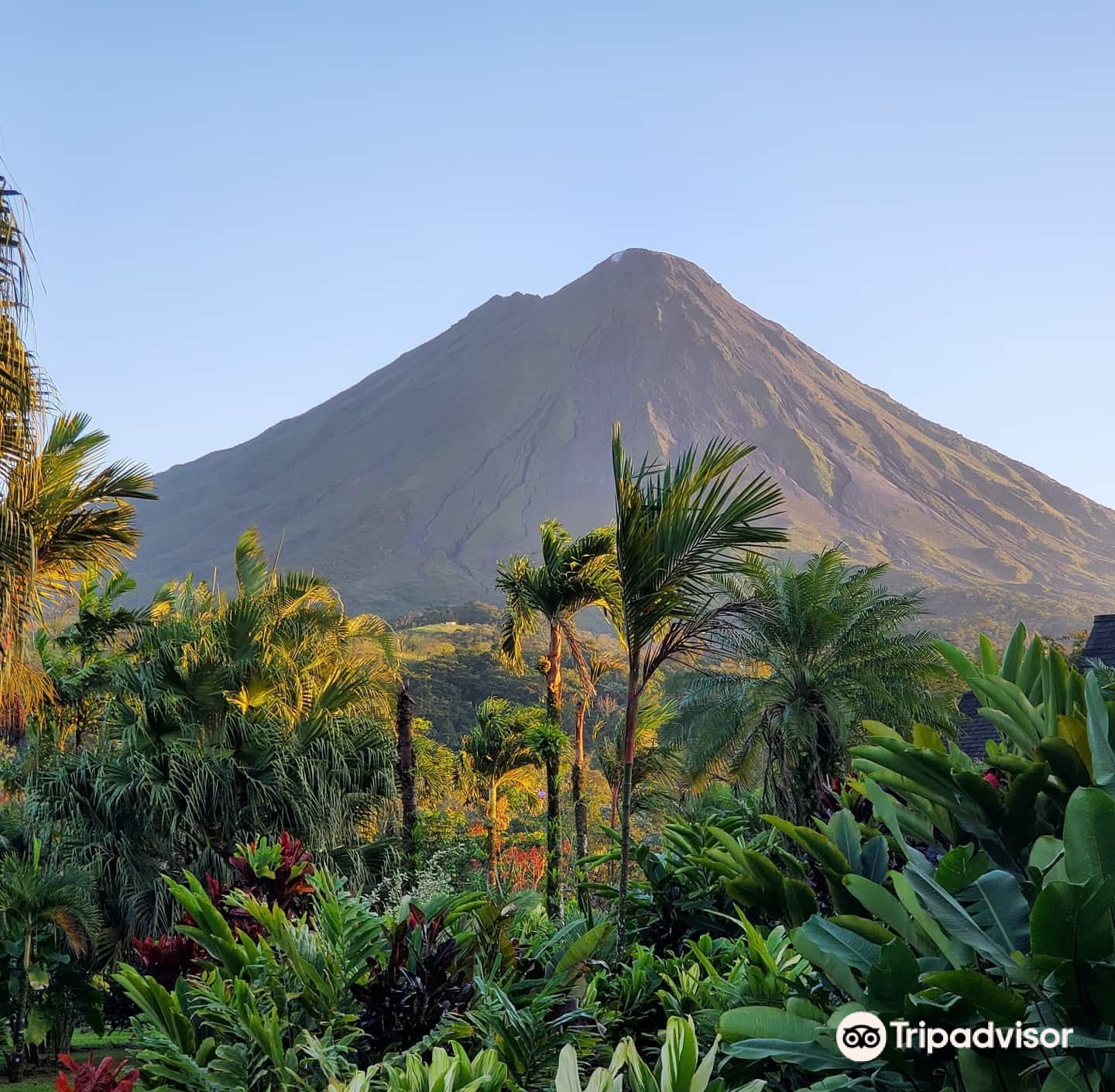 la fortuna阿雷纳火山国家公园攻略-阿雷纳火山国家公园门票价格多少