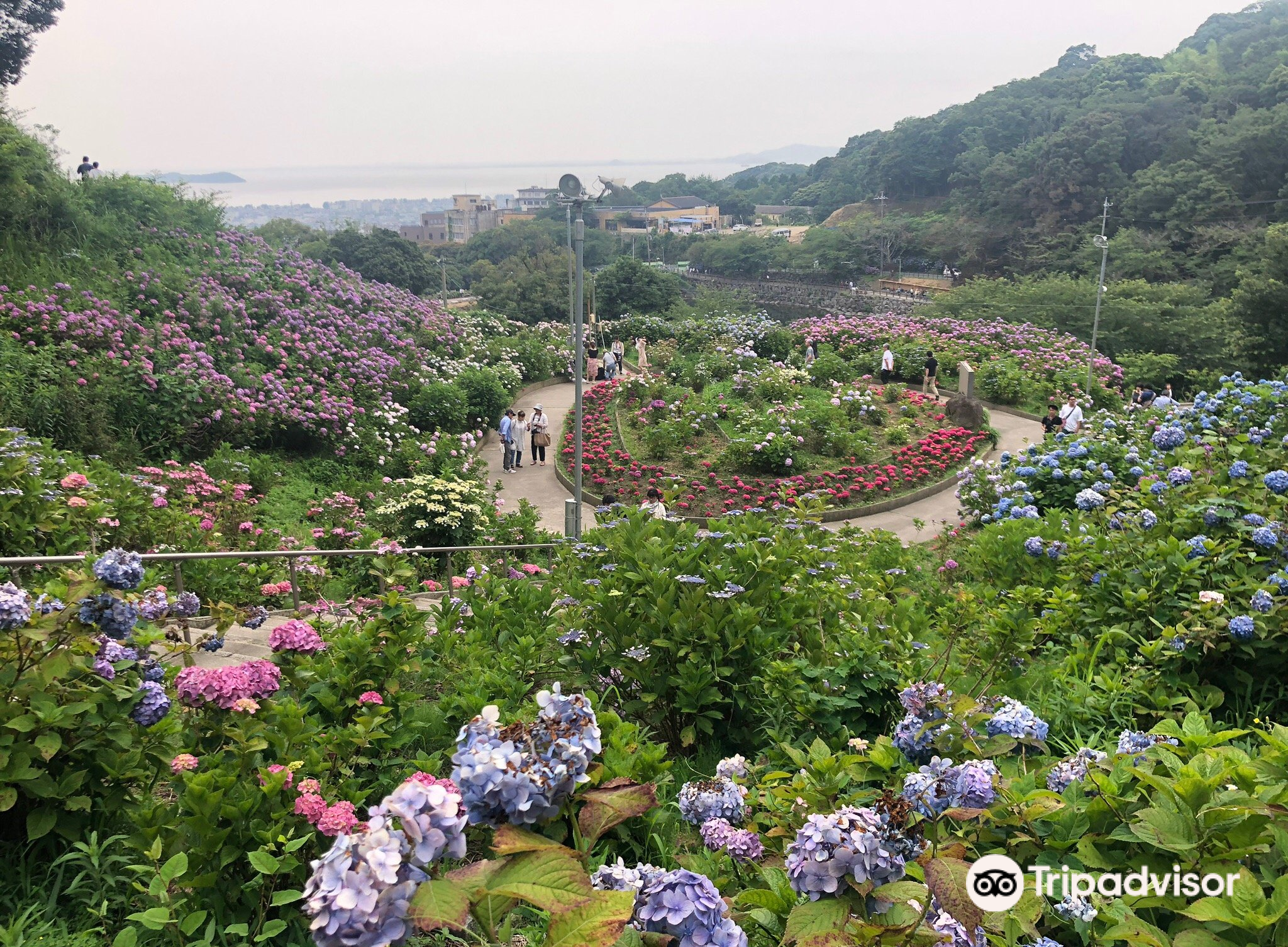 蒲郡市katahara Fish Market游玩攻略 Katahara Fish Market门票多少钱 价格表 团购票价预定优惠 景点地址在哪里 图片介绍 参观预约 旅游游览顺序攻略及注意事项 营业时间 携程攻略